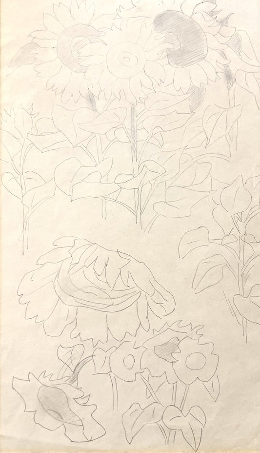 Владимир Димитров - Майстора "Слънчогледи“